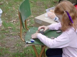 Arboretumfest (Familienfest) 2026